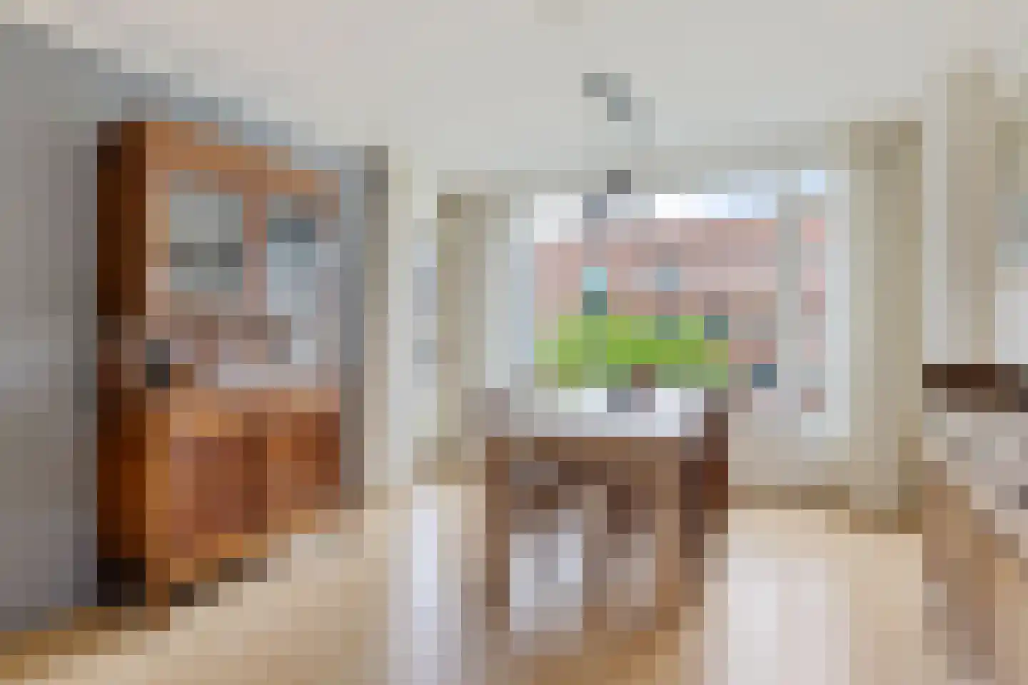 Tolsteegplantsoen 6 1 Utrecht thumbnail 8