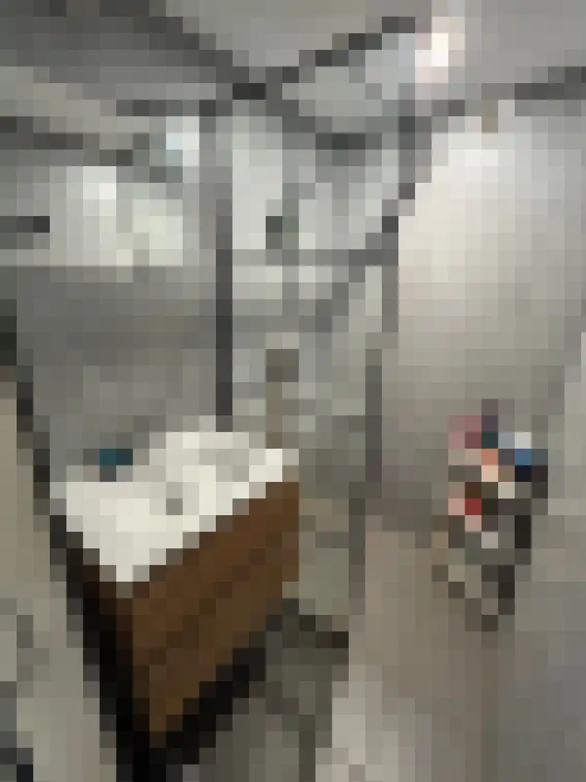 Tolsteegplantsoen Utrecht thumbnail 4