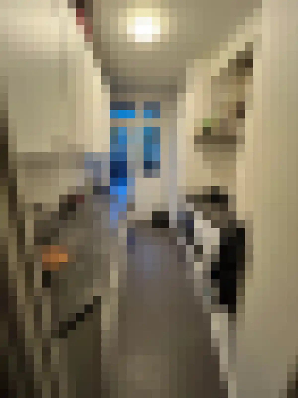 Tolsteegplantsoen Utrecht thumbnail 5