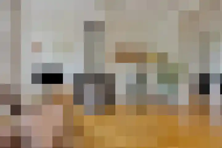 Tolsteegsingel 28 BS Utrecht thumbnail 13