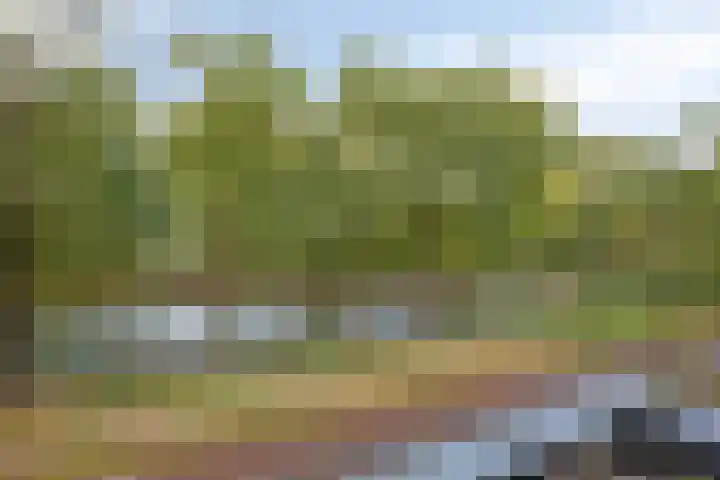 Tolsteegsingel 28 BS Utrecht thumbnail 16