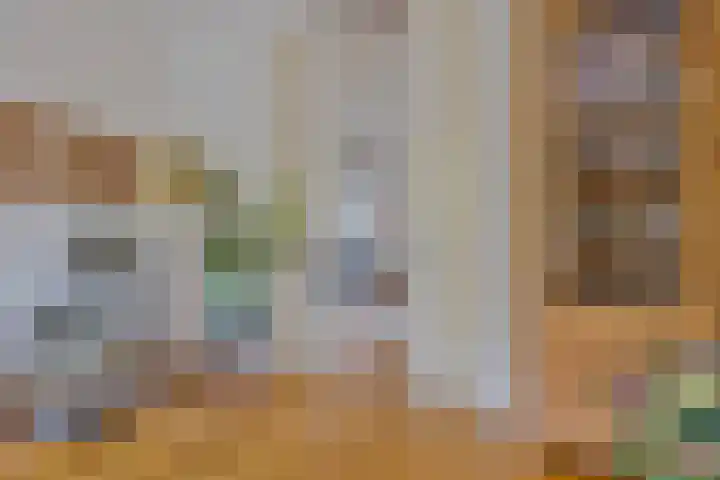 Tolsteegsingel 28 BS Utrecht thumbnail 19