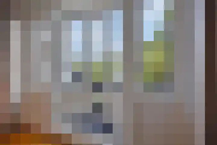 Tolsteegsingel 28 BS Utrecht thumbnail 22