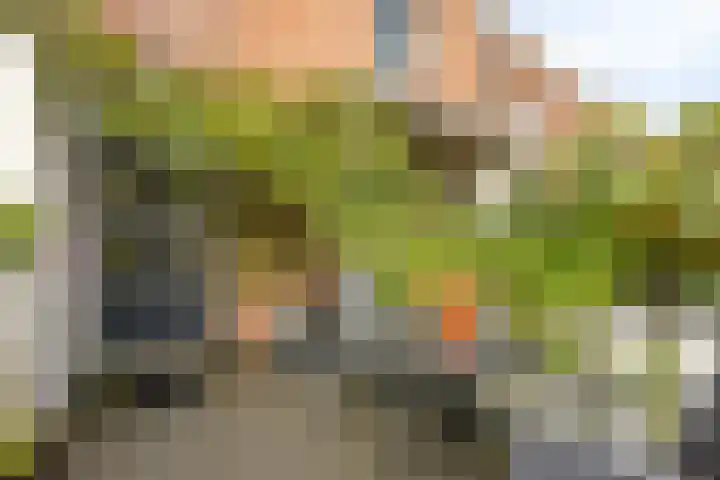Tolsteegsingel 28 BS Utrecht thumbnail 28