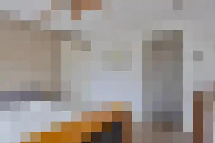 Tolsteegsingel 28 BS Utrecht thumbnail 32