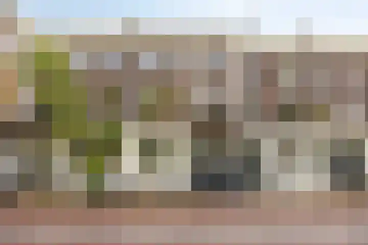 Tolsteegsingel 28 BS Utrecht thumbnail 6