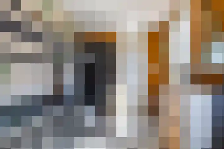 Tolstoistraat 29 Zaandam thumbnail 31
