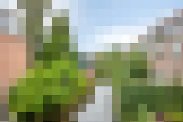 Tolstoistraat 35 Zaandam thumbnail 33