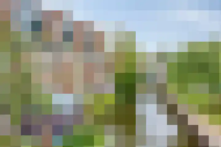 Tolstoistraat 35 Zaandam thumbnail 34