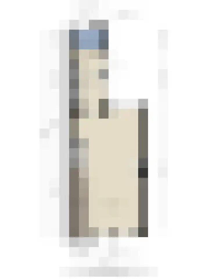 Tolstoistraat 35 Zaandam thumbnail 36