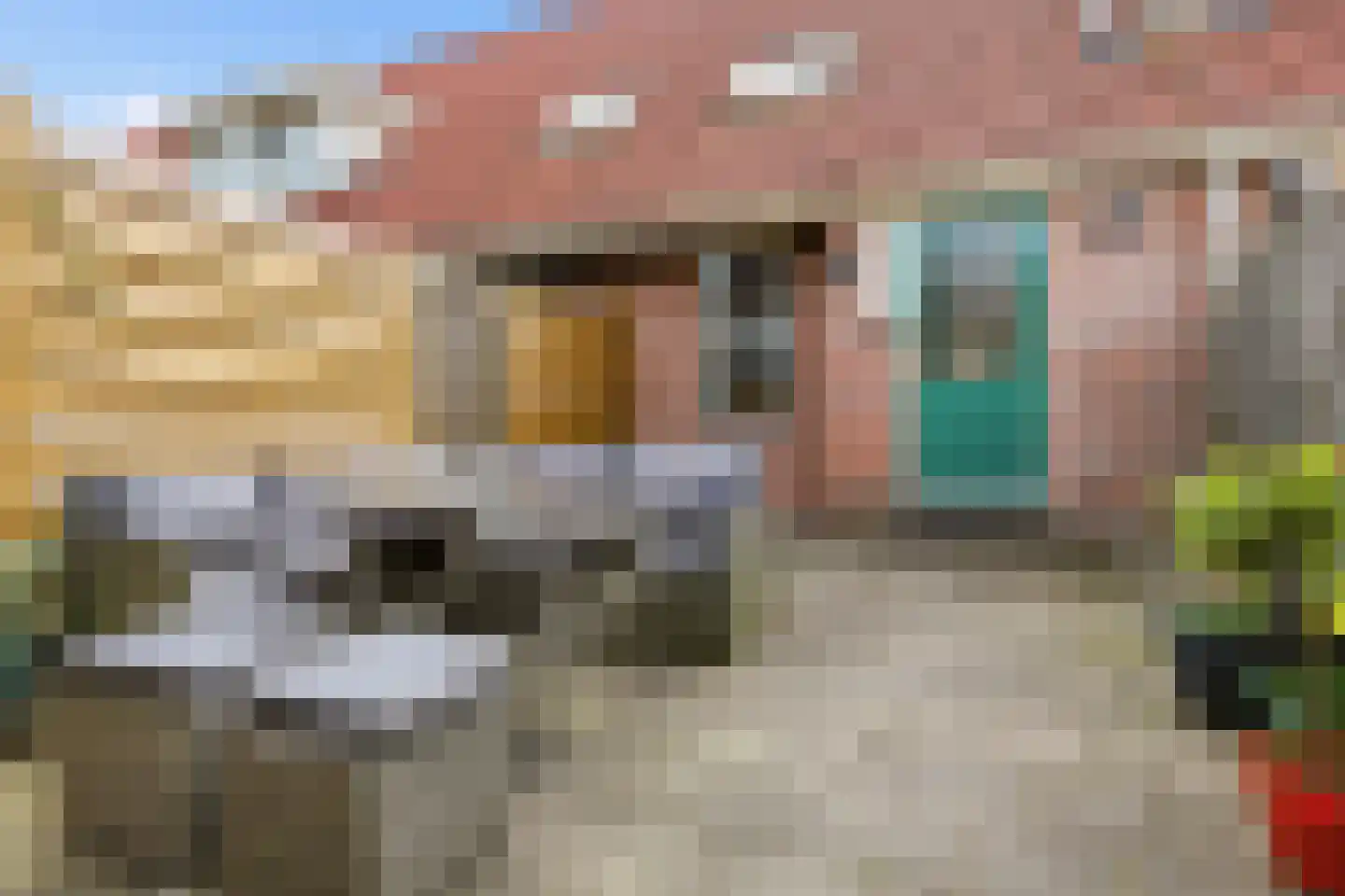 Tolstoistraat 44 Zaandam thumbnail 4