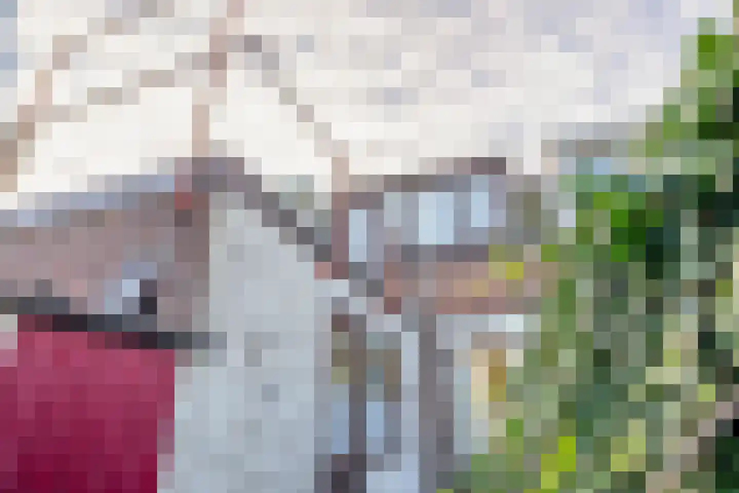 Tolstoistraat 60 Zaandam thumbnail 27