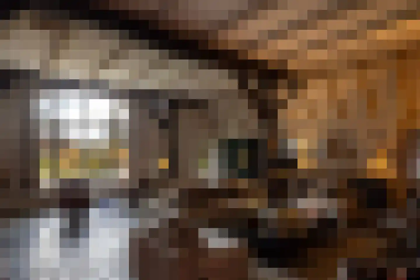 Tolstraat 1 Drempt thumbnail 14
