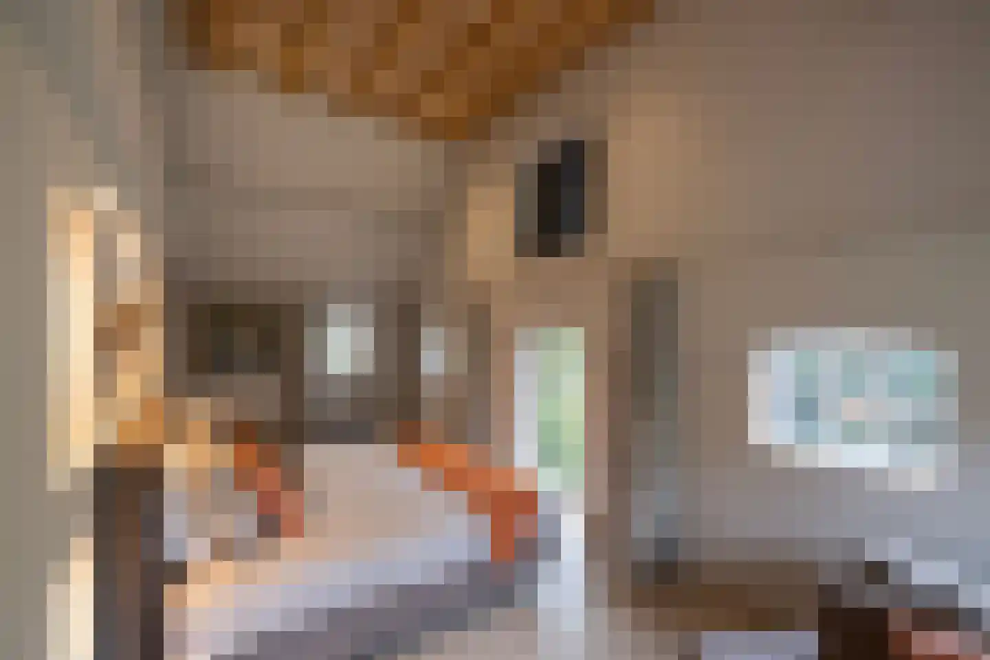 Tolstraat 1 Drempt thumbnail 16