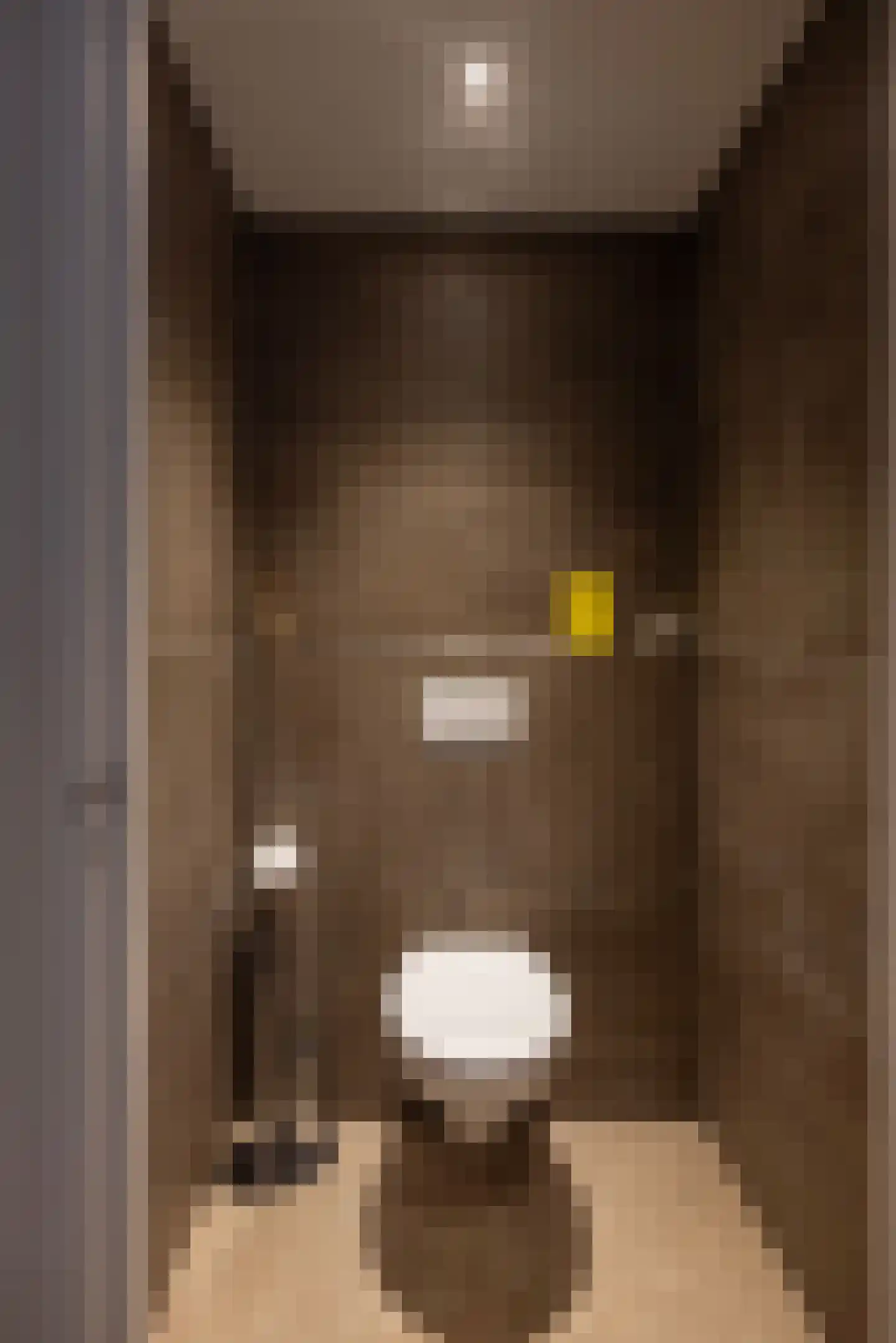 Tolstraat 1 Drempt thumbnail 21