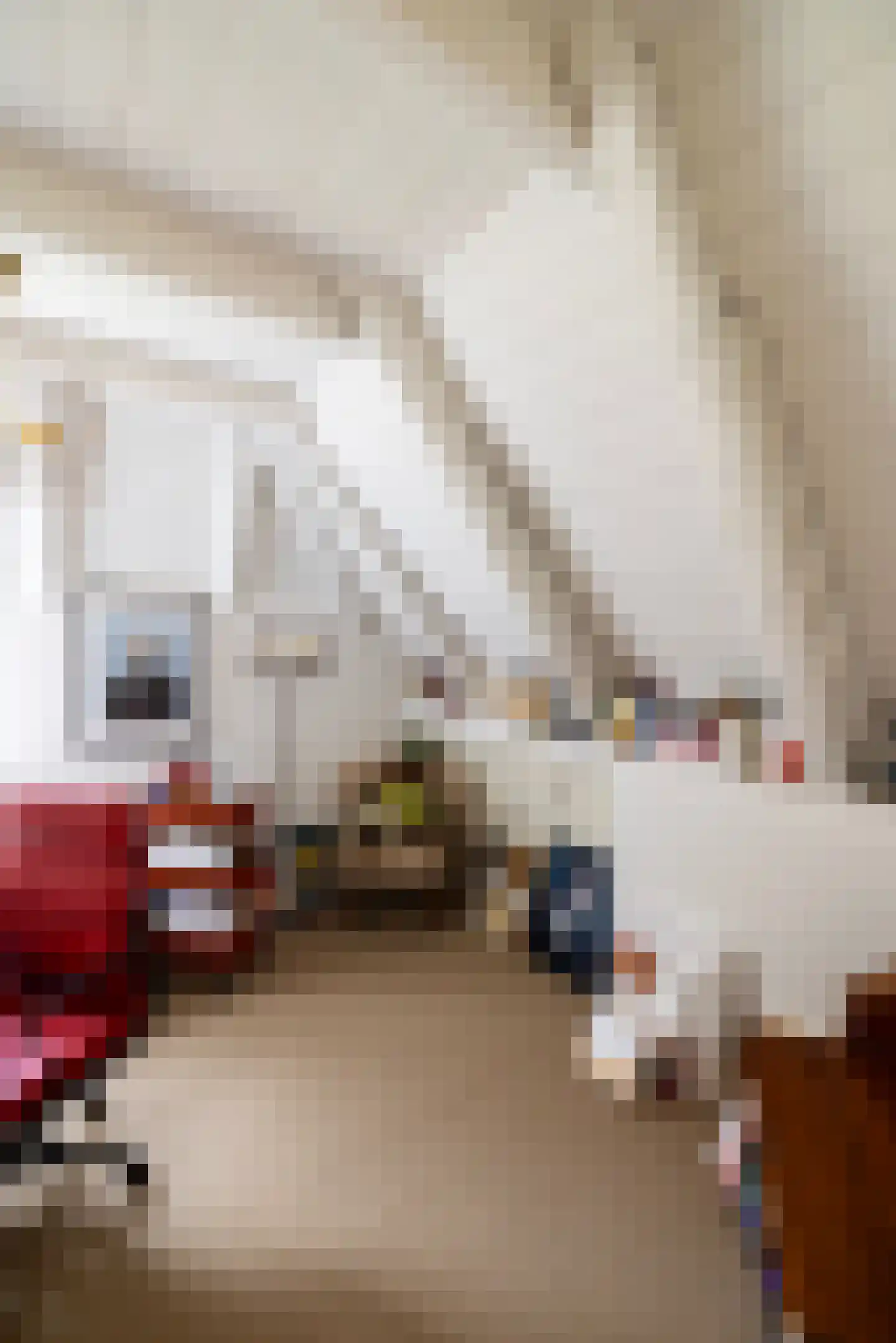 Tolstraat 1 Drempt thumbnail 35