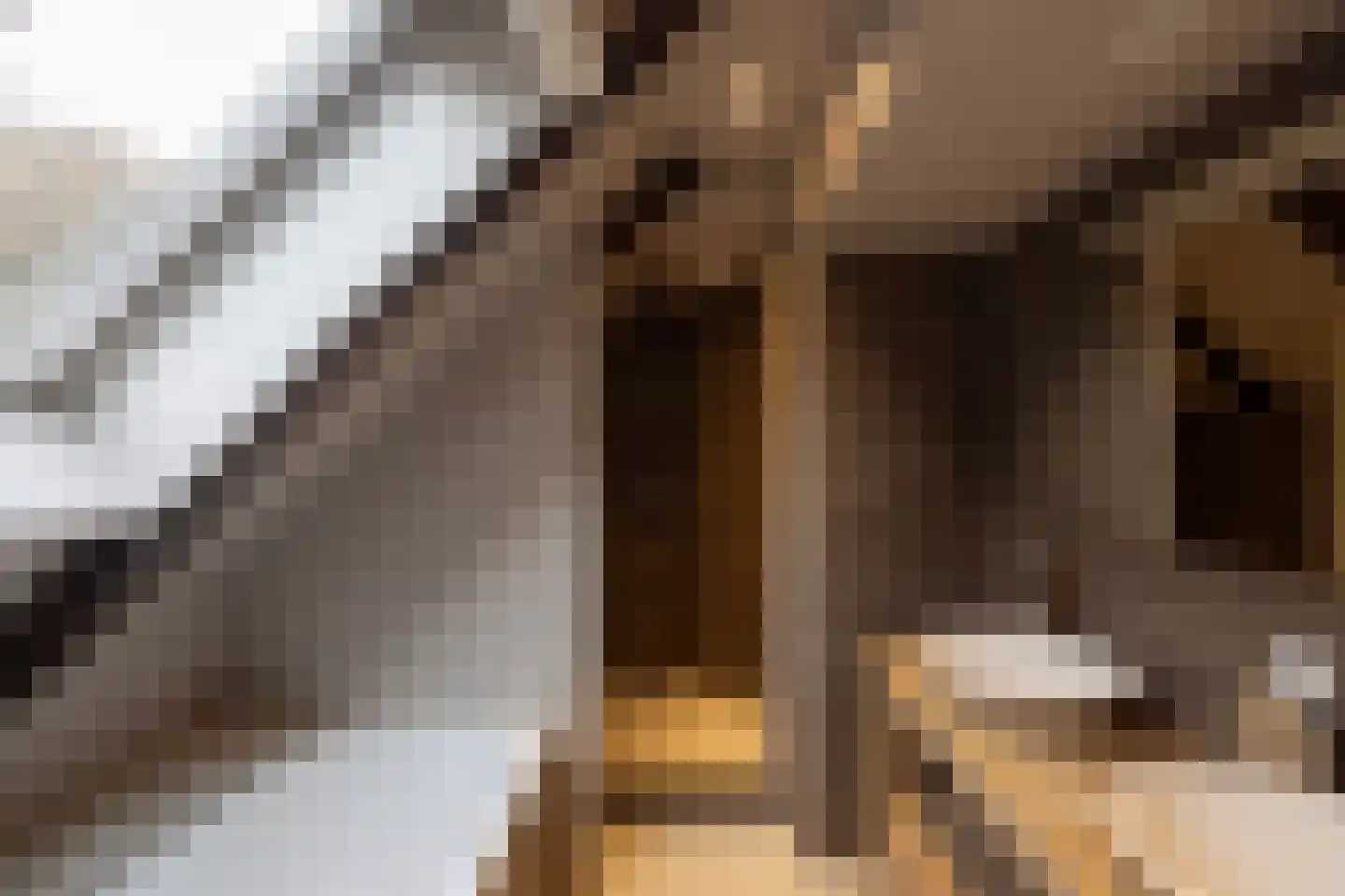 Tolstraat 1 Drempt thumbnail 36