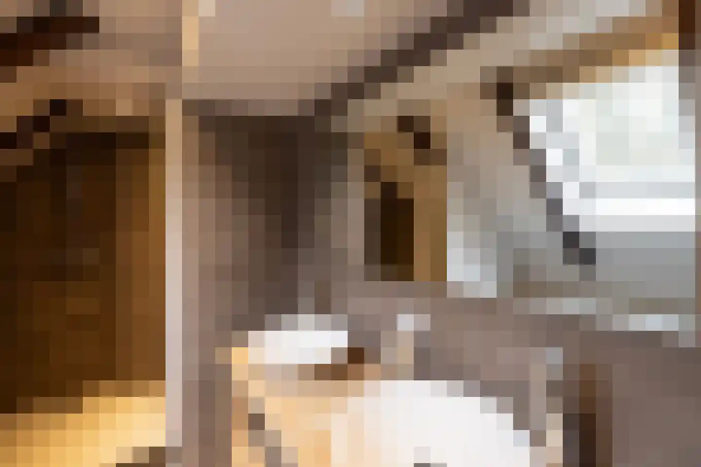 Tolstraat 1 Drempt thumbnail 37
