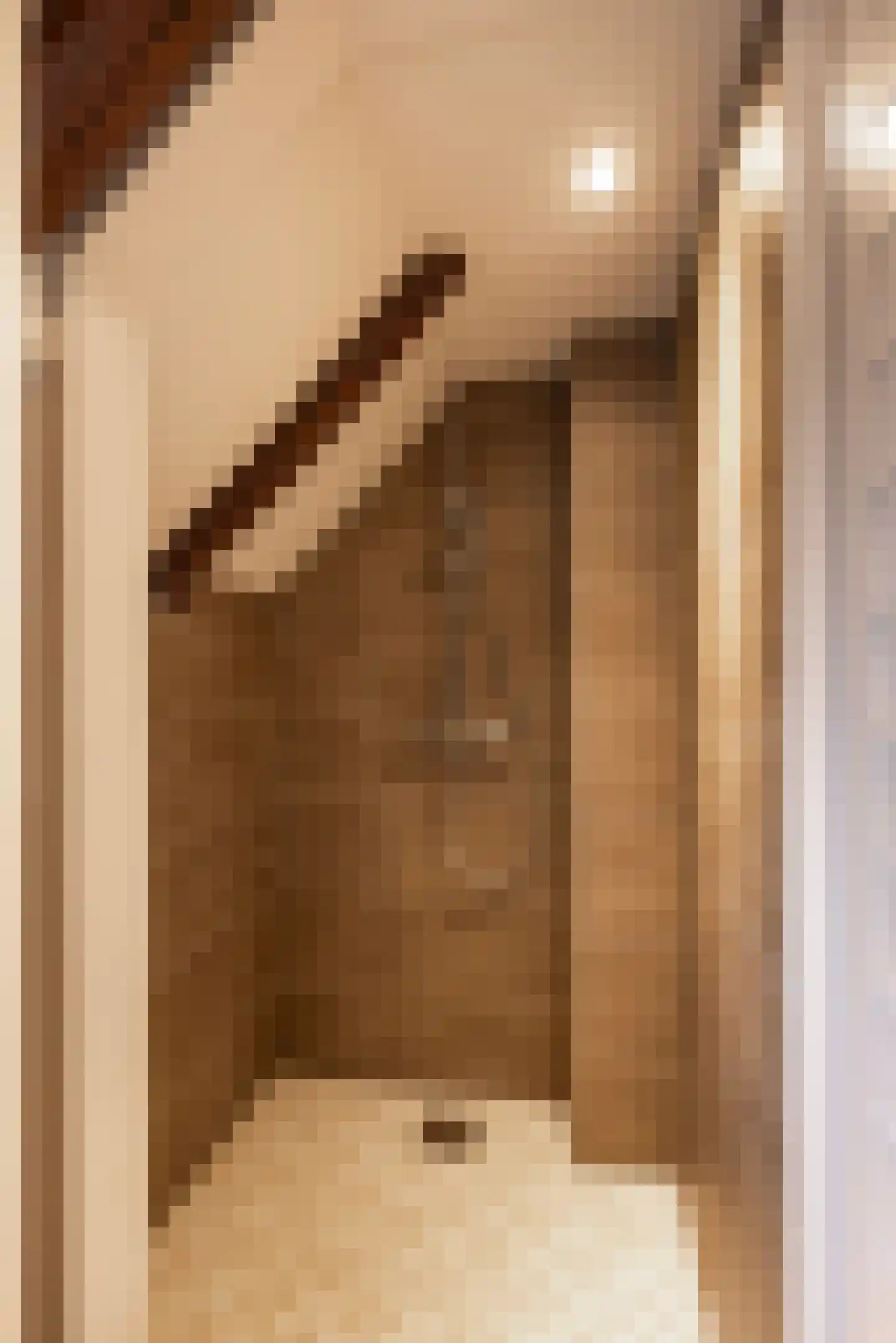 Tolstraat 1 Drempt thumbnail 38