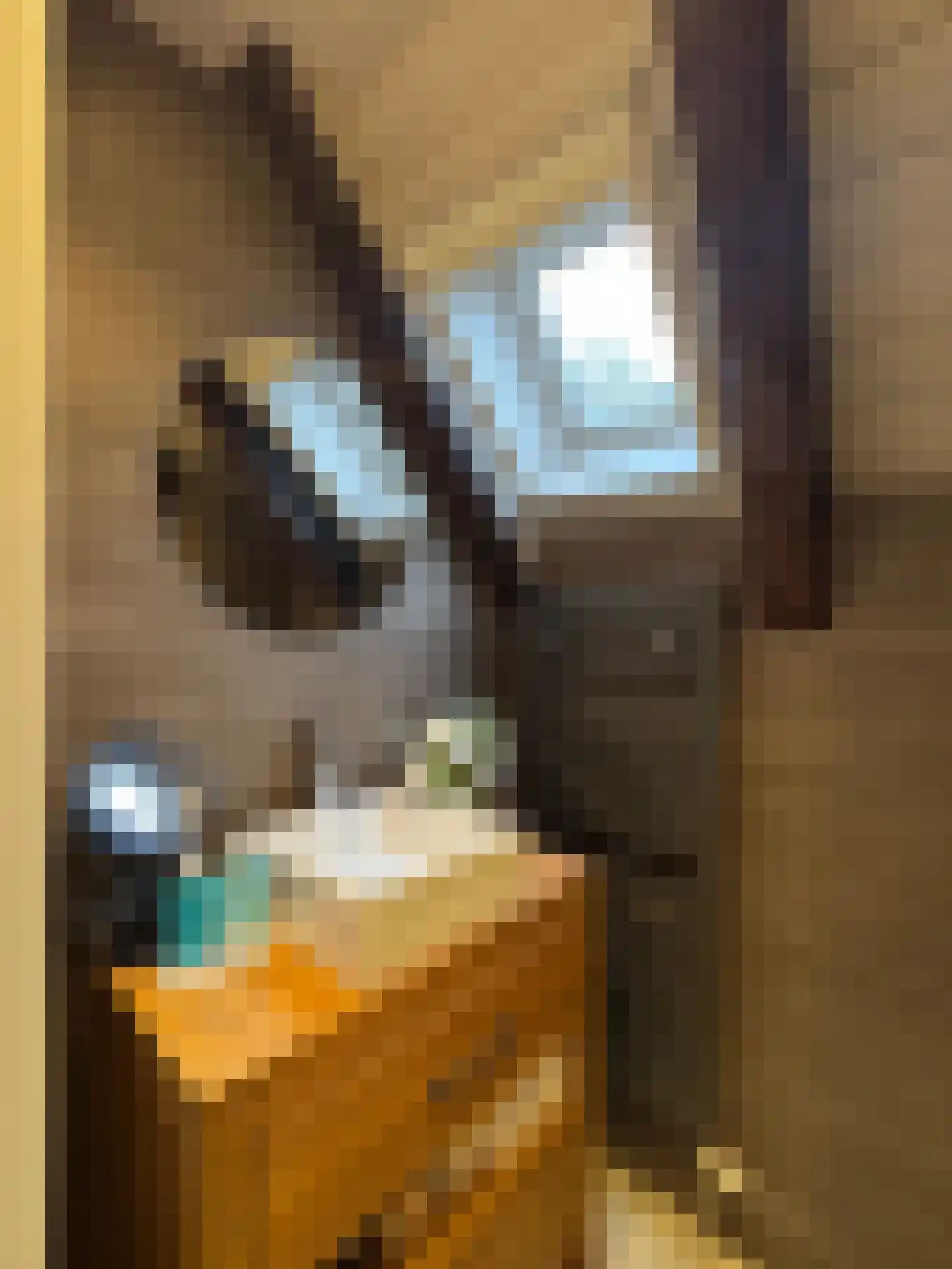Tolstraat 1 Drempt thumbnail 41