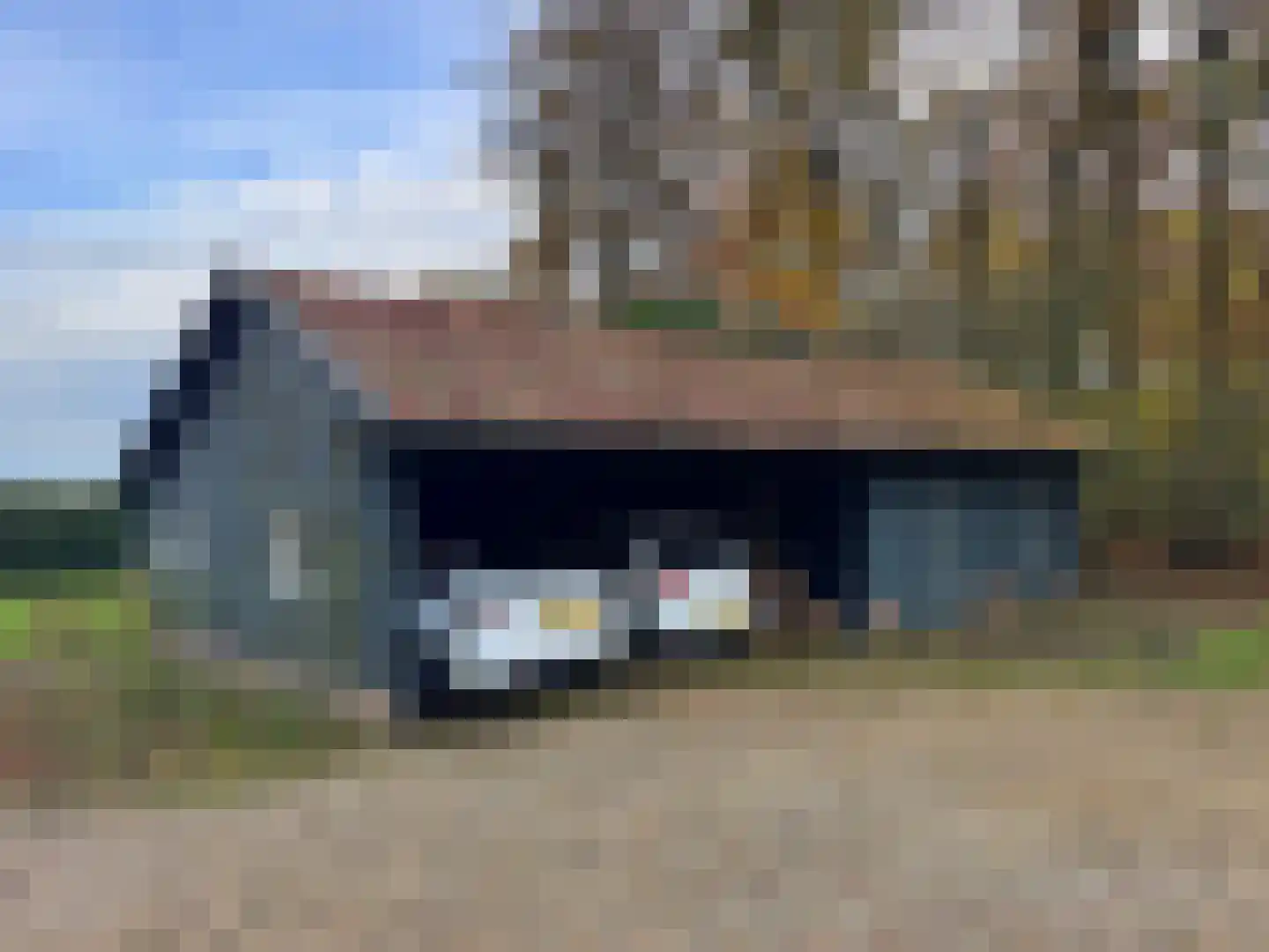 Tolstraat 1 Drempt thumbnail 51