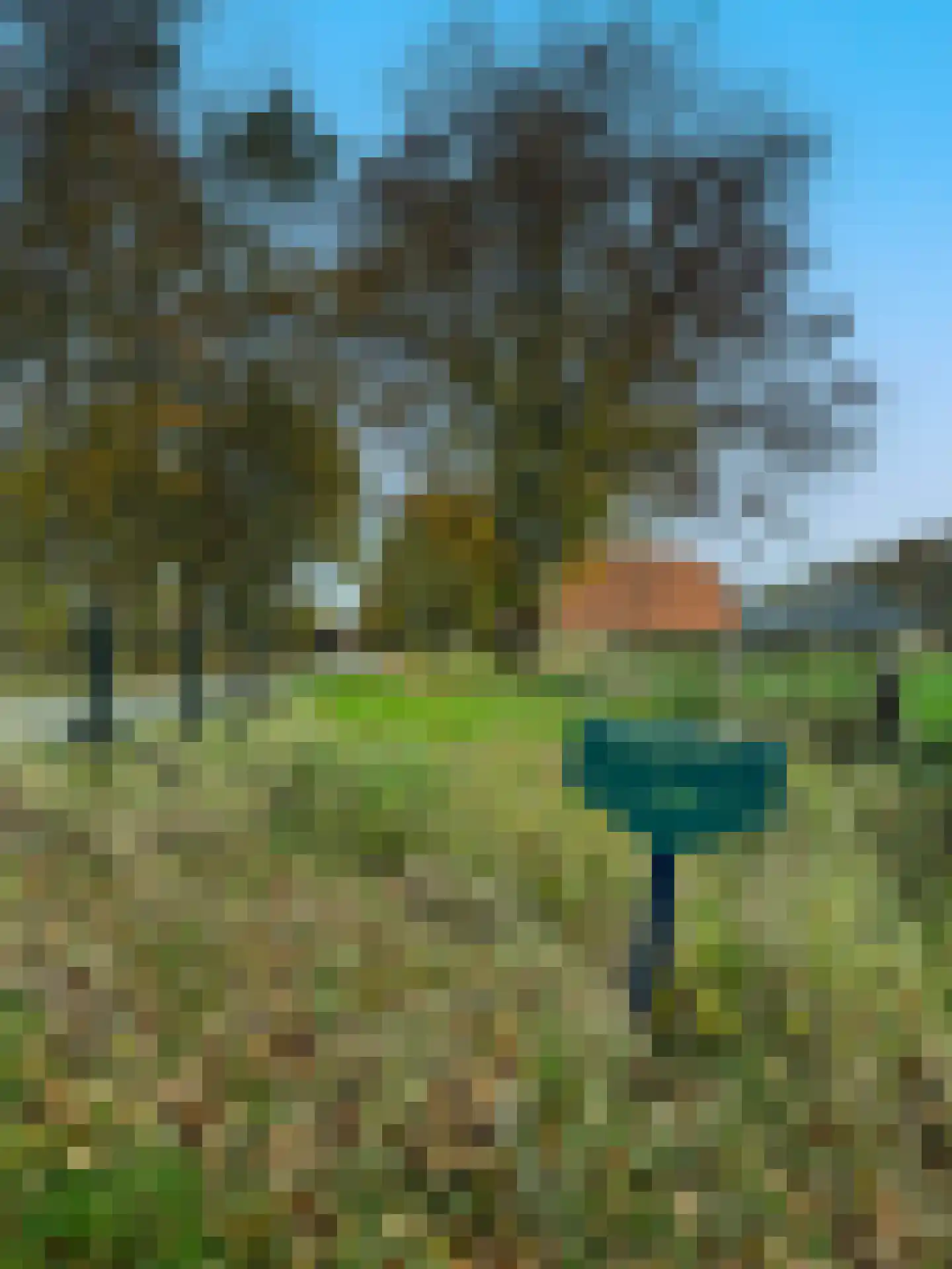 Tolstraat 1 Drempt thumbnail 65