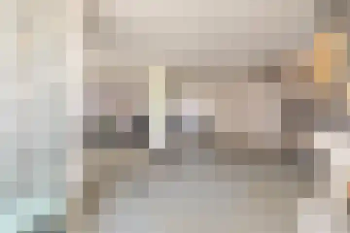 Tolstraat 1 Geervliet thumbnail 10