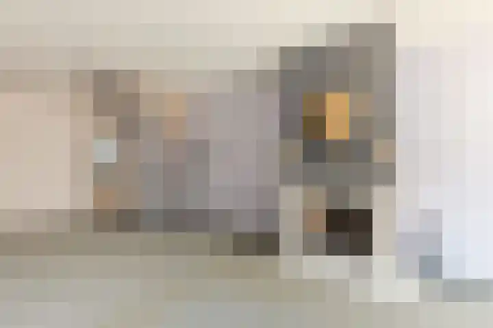 Tolstraat 1 Geervliet thumbnail 11
