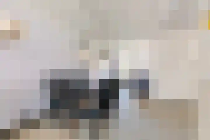 Tolstraat 1 Geervliet thumbnail 12