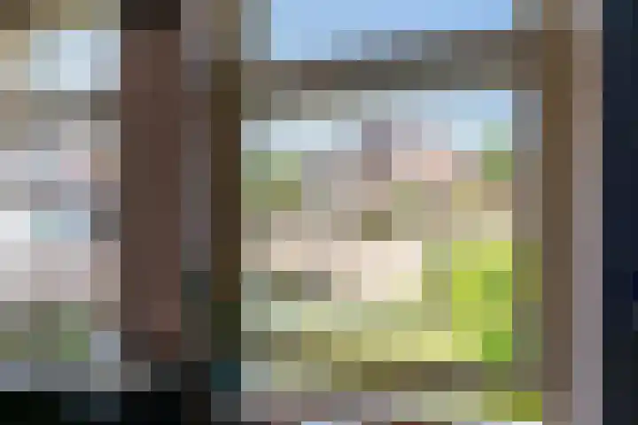 Tolstraat 1 Geervliet thumbnail 15