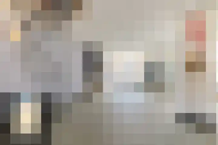 Tolstraat 1 Geervliet thumbnail 17