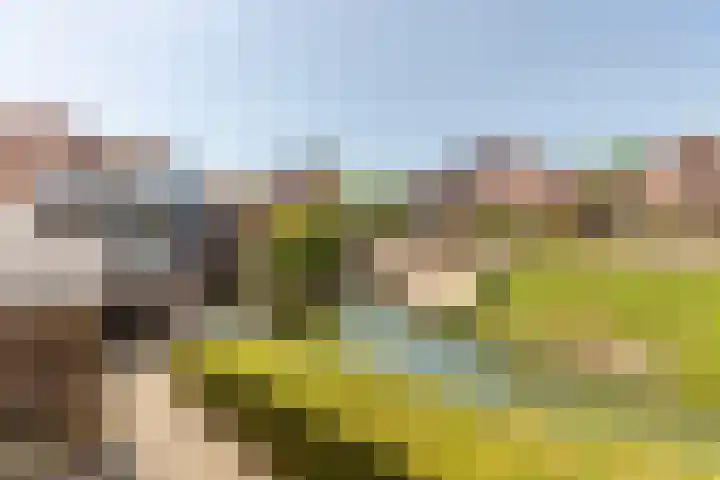 Tolstraat 1 Geervliet thumbnail 36