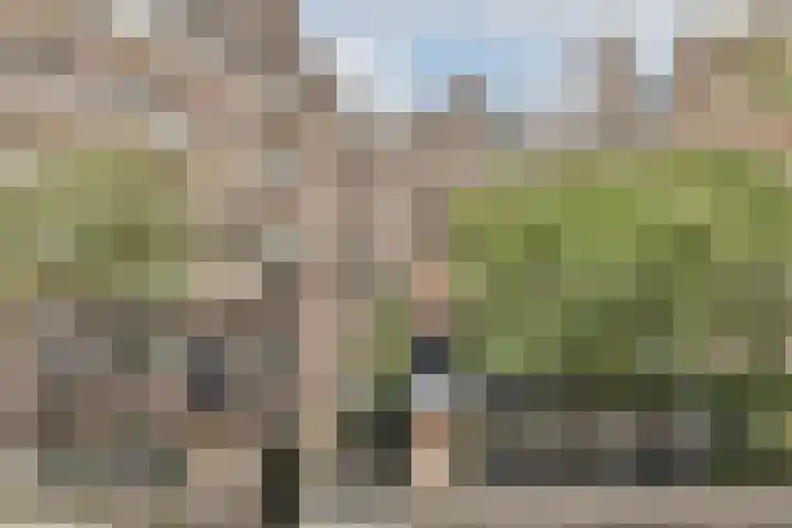 Tolstraat 194 1 Amsterdam thumbnail 22