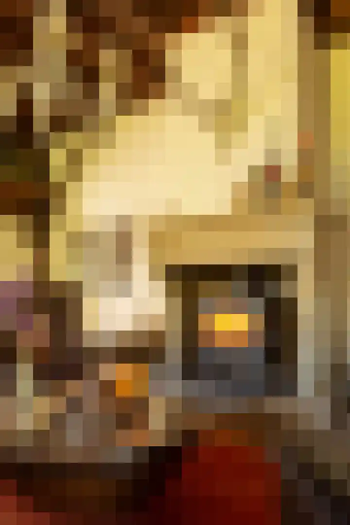 Tolstraat 4 Hummelo thumbnail 20
