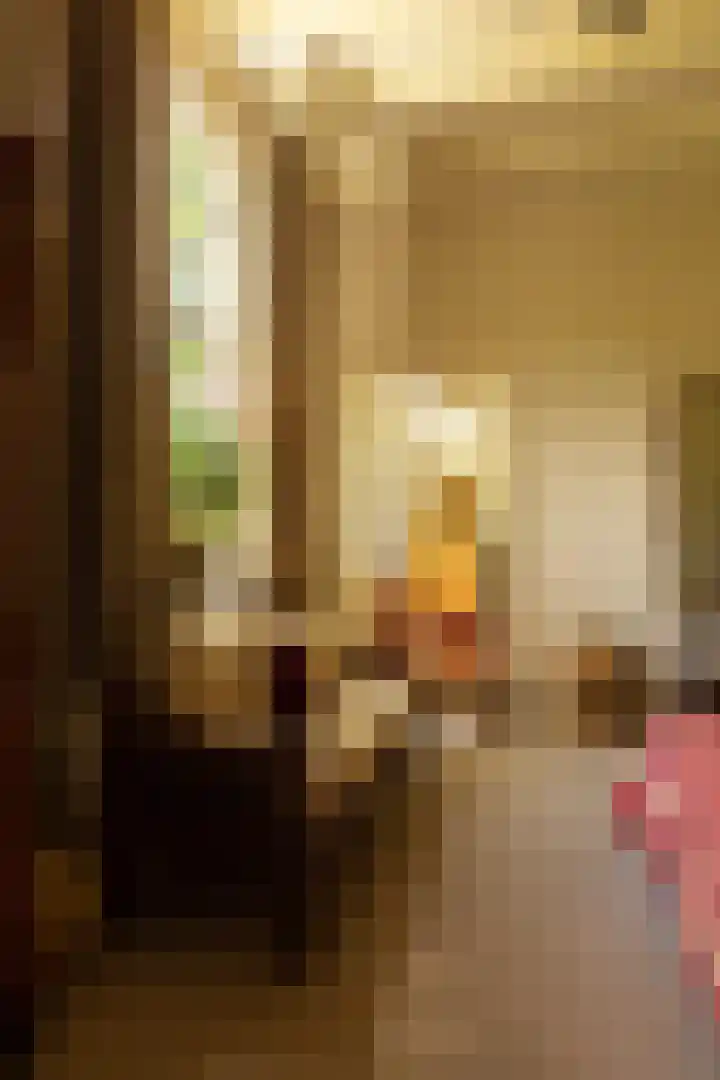 Tolstraat 4 Hummelo thumbnail 23