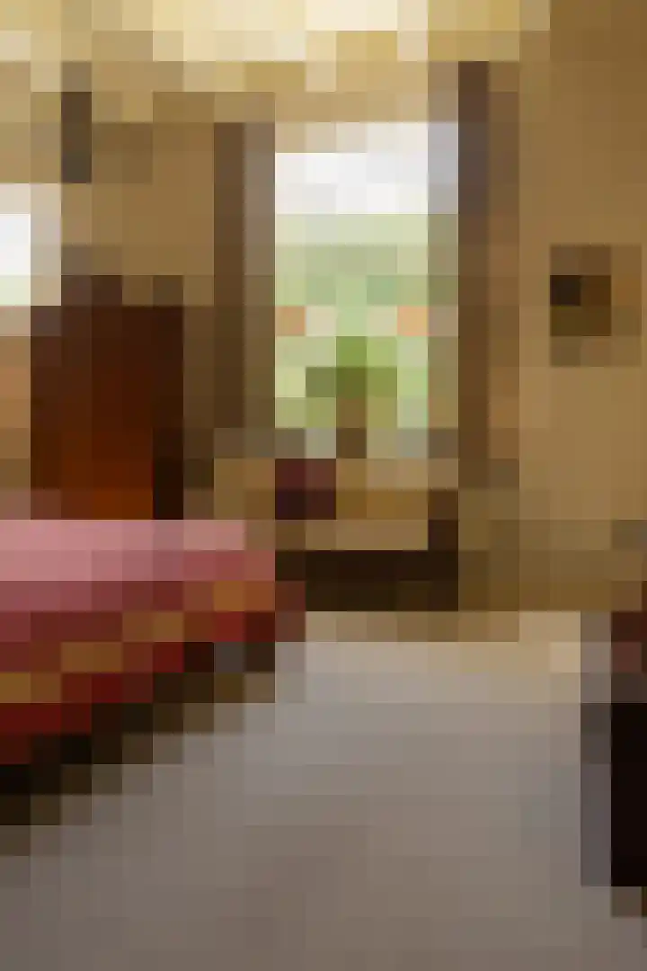 Tolstraat 4 Hummelo thumbnail 24