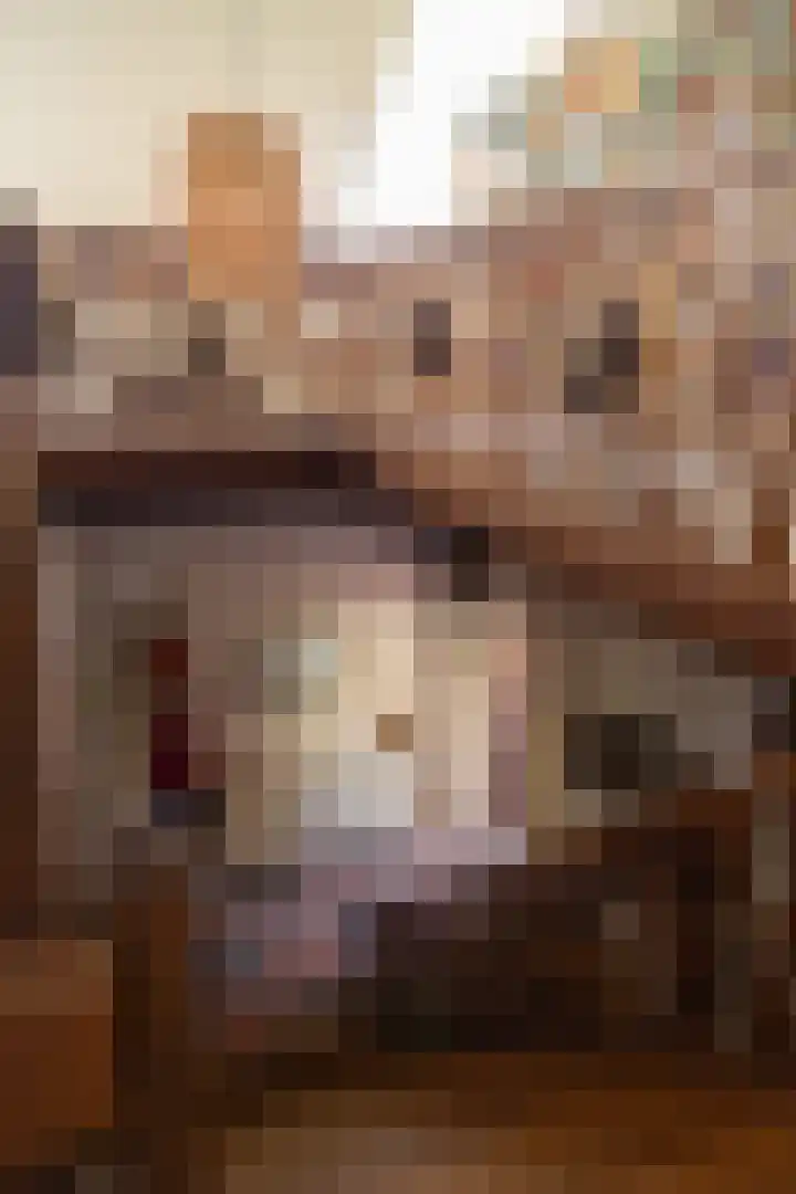 Tolstraat 4 Hummelo thumbnail 32