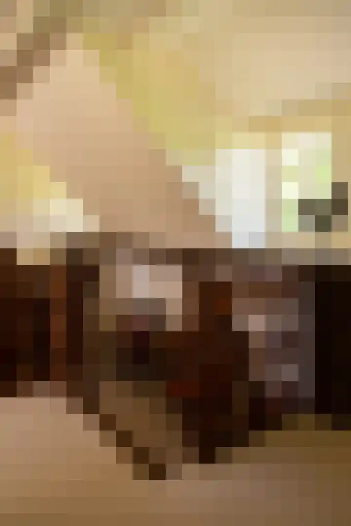 Tolstraat 4 Hummelo thumbnail 35