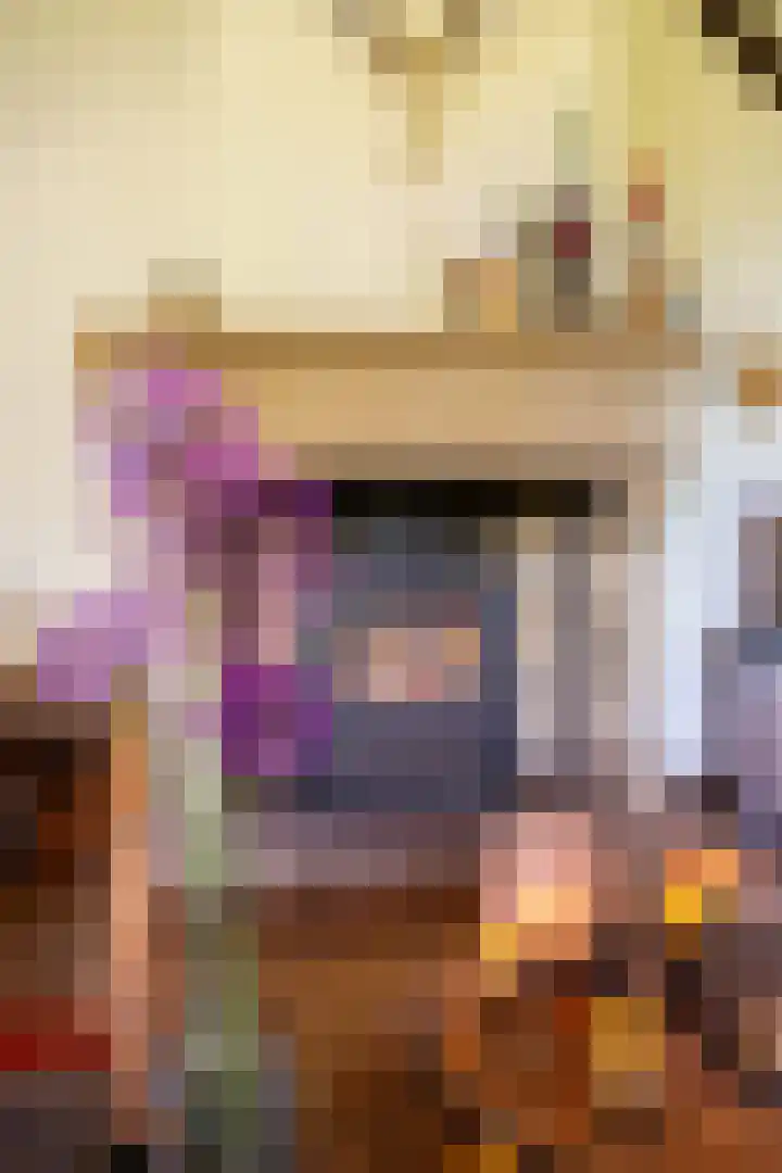 Tolstraat 4 Hummelo thumbnail 36