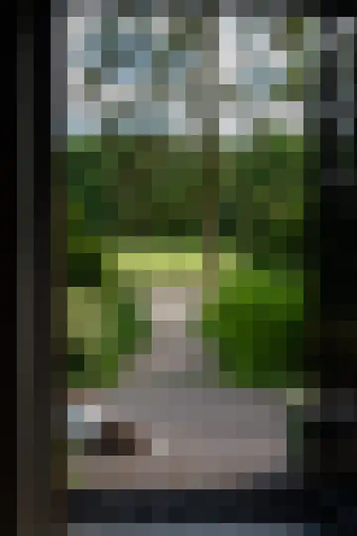 Tolstraat 4 Hummelo thumbnail 37
