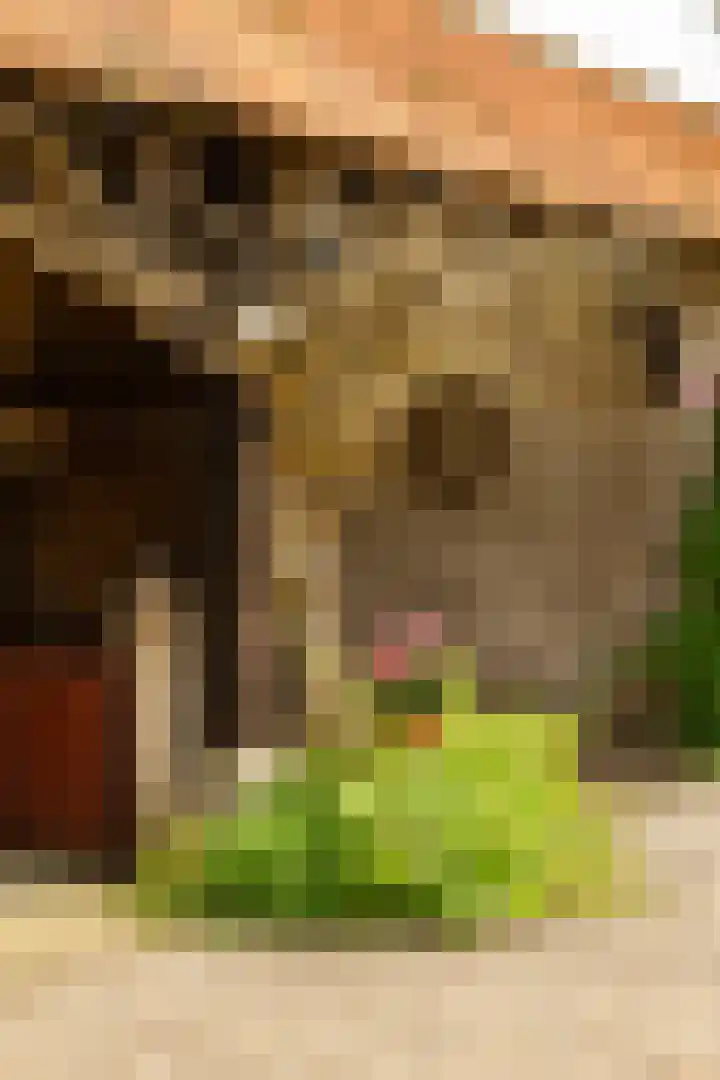 Tolstraat 4 Hummelo thumbnail 38