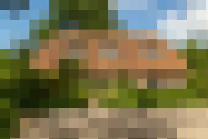 Tolstraat 4 Hummelo thumbnail 4