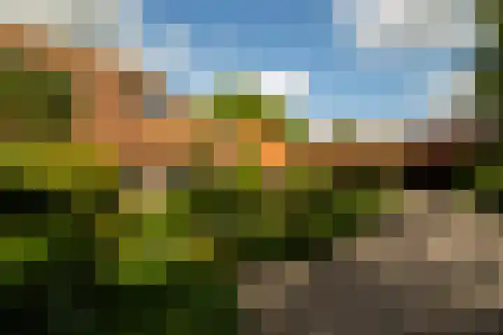 Tolstraat 4 Hummelo thumbnail 43