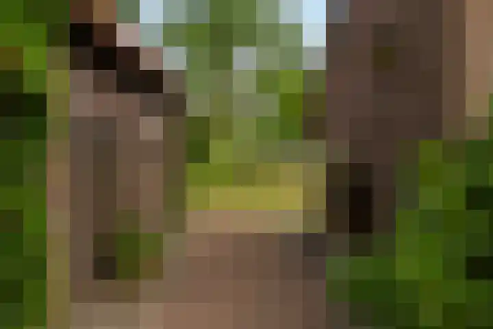 Tolstraat 4 Hummelo thumbnail 7