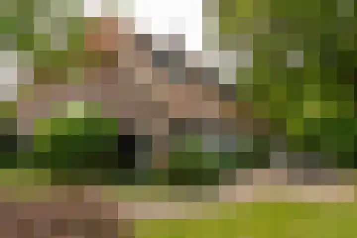 Tolstraat 4 Hummelo thumbnail 8