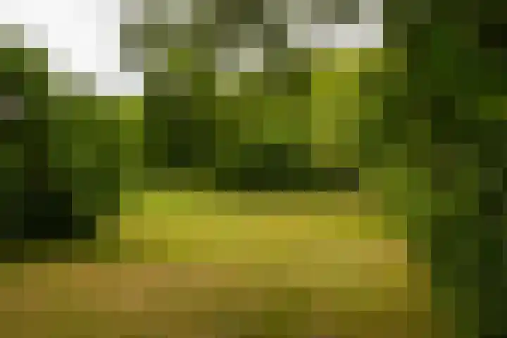 Tolstraat 4 Hummelo thumbnail 9