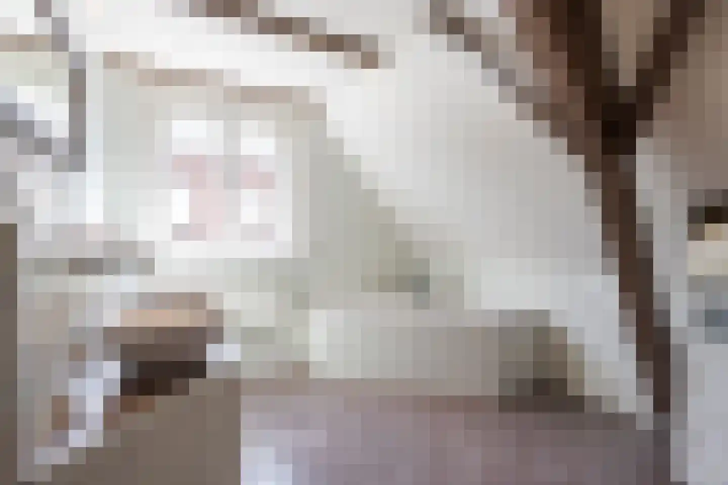 Tolstraat 41 Meerkerk thumbnail 23