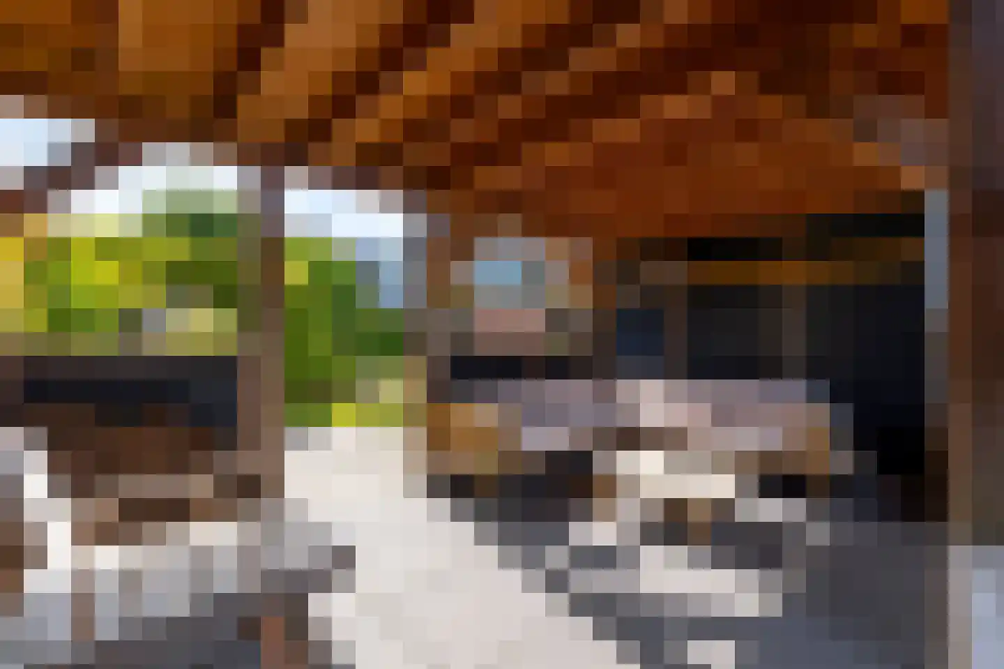 Tolstraat 41 Meerkerk thumbnail 28