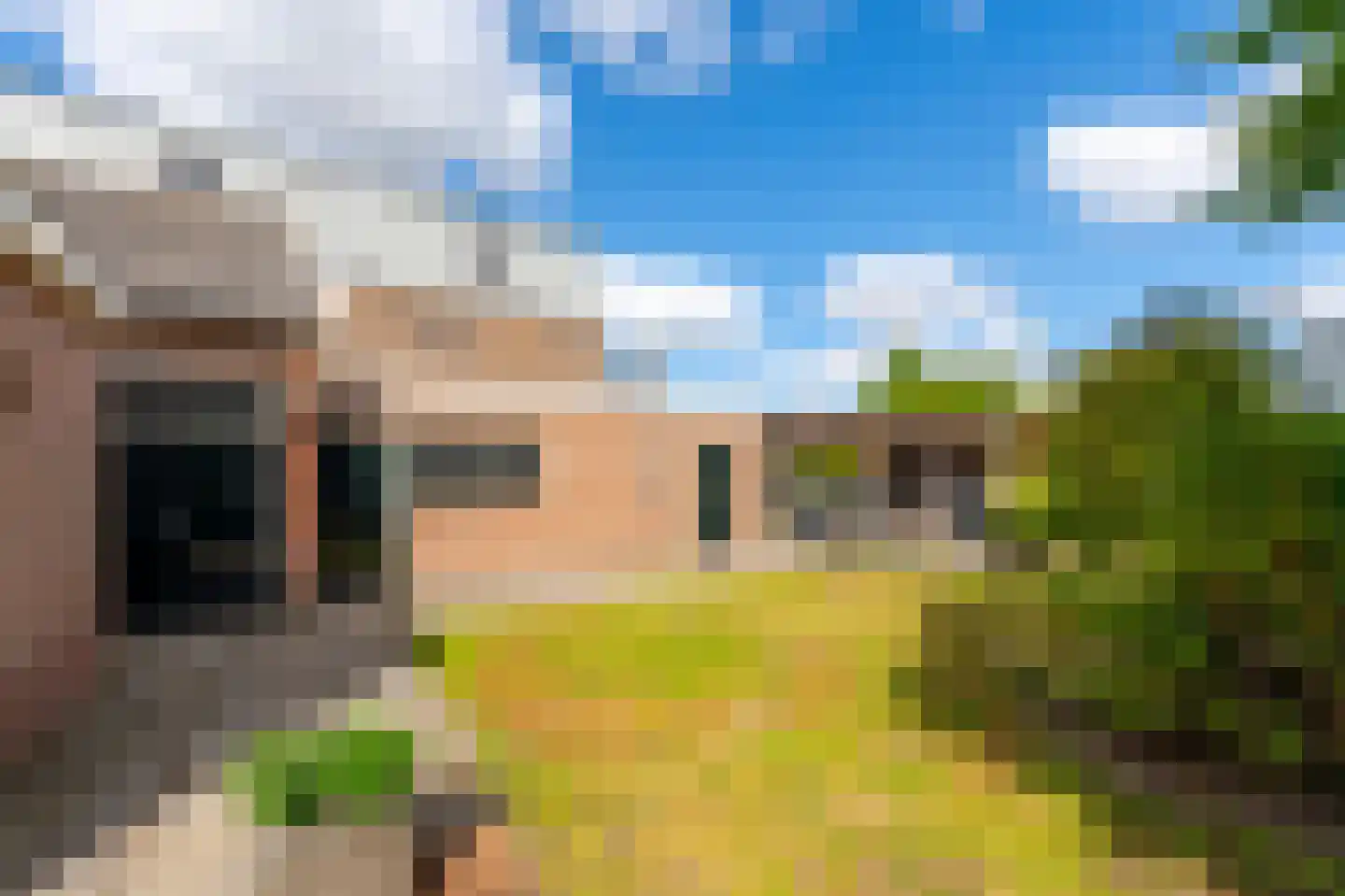 Tolstraat 41 Meerkerk thumbnail 30