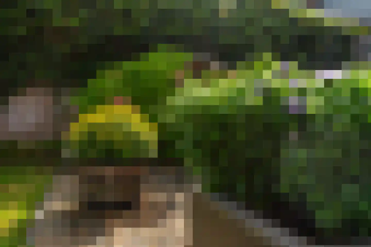 Tolstraat 41 Meerkerk thumbnail 32